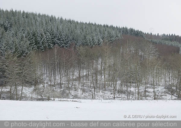 paysage hivernal  / winter landscape